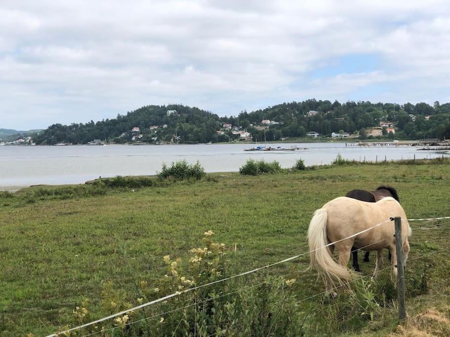 Apartment Right Next To The Golf Course And With The Ocean Just Around The Corner Ljungskile Exteriör bild